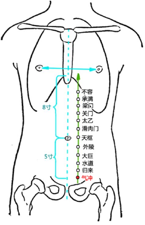 氣穴|氣沖穴位置 